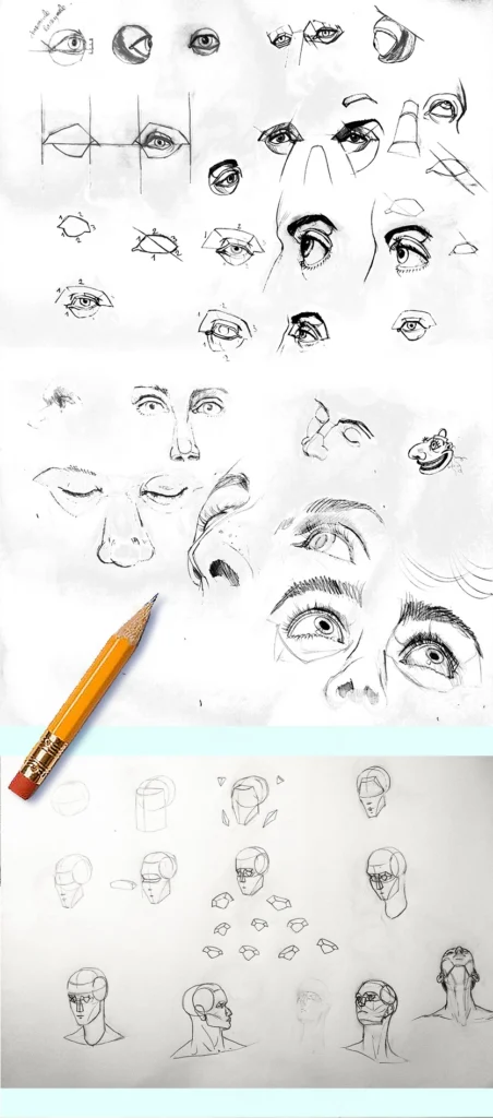 Anatomie exposition001
