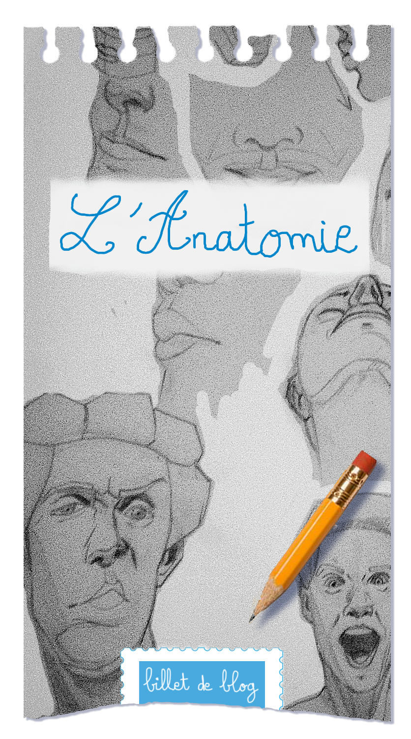 Planche d'études anatomiques de visages au crayon, différentes expressions, illustration pour article de blog sur le dessin d'anatomie.