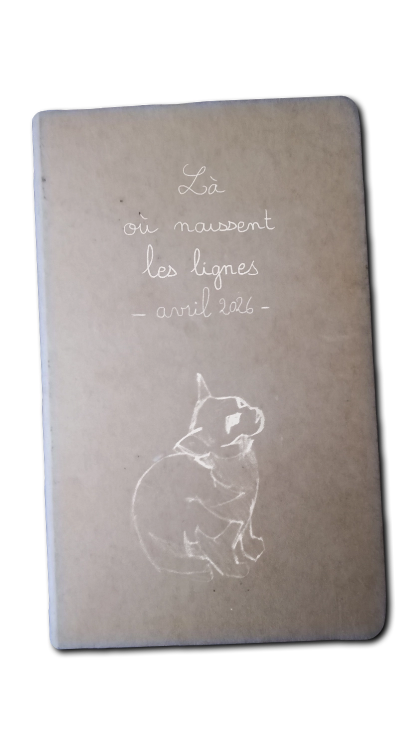 Chat observant en l'air dessiné au trait blanc sur la couverture d'un carnet de croquis marron.