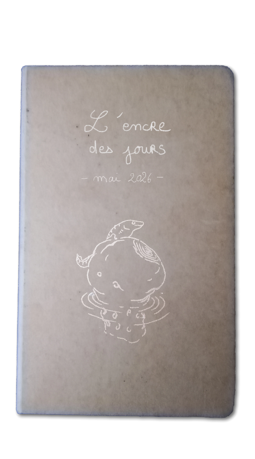 Carnet de croquis marron avec un dessin dessus au trait blanc d'un lézard sur un rocher à la surface de l'eau.
